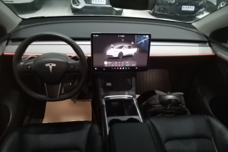 Tesla Model Y 2024 car image #8