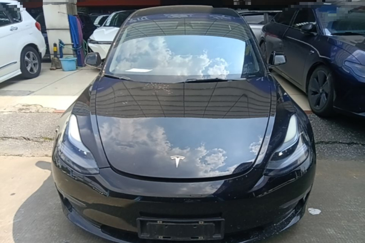 Tesla Model 3 2022 #3 Tesla Model 3 2022 car image #3