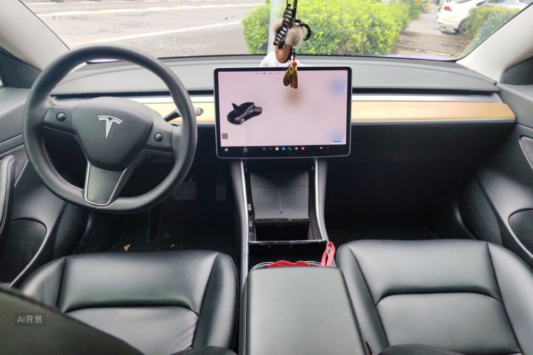 Tesla Model 3 2020 car image #11