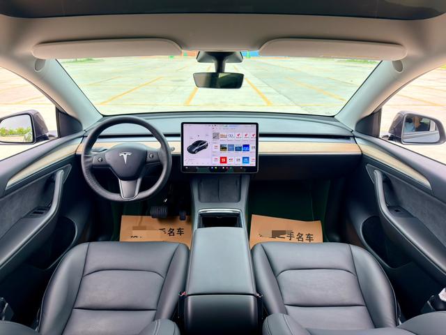 Tesla Model Y 2021 car image #12