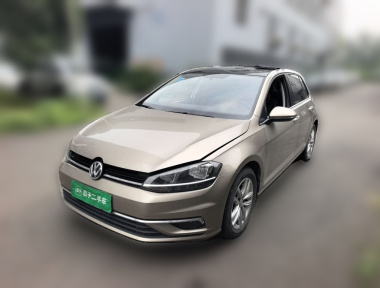 Volkswagen Golf 2019 Volkswagen Golf 2019 car image