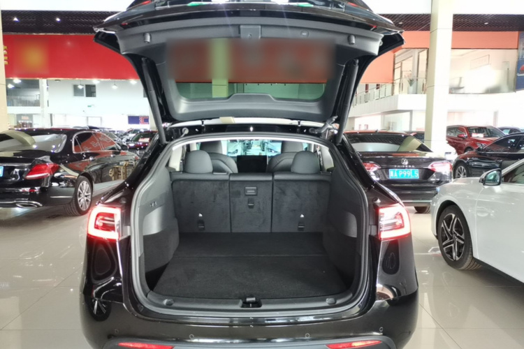 Tesla Model Y 2023 car image #19