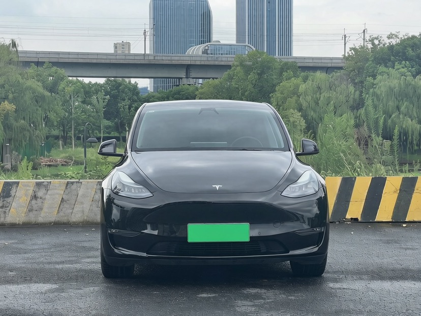 Tesla Model Y 2022 car image #2