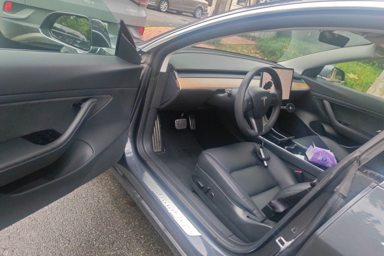 Tesla Model 3 2020 car image #9