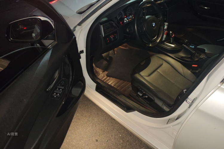 BMW 3 Series 2017 car image #18