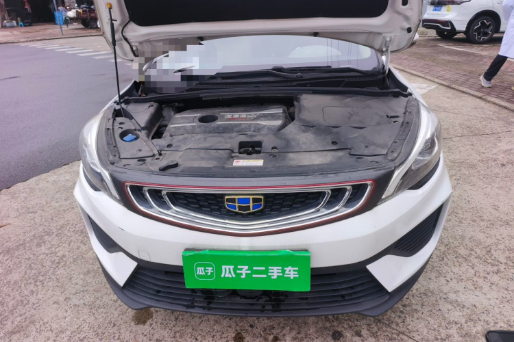 GEELY Emgrand GS 2018 imagen de coche #18