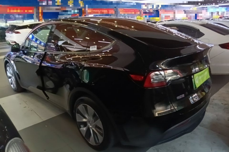 Tesla Model Y 2021 car image #5