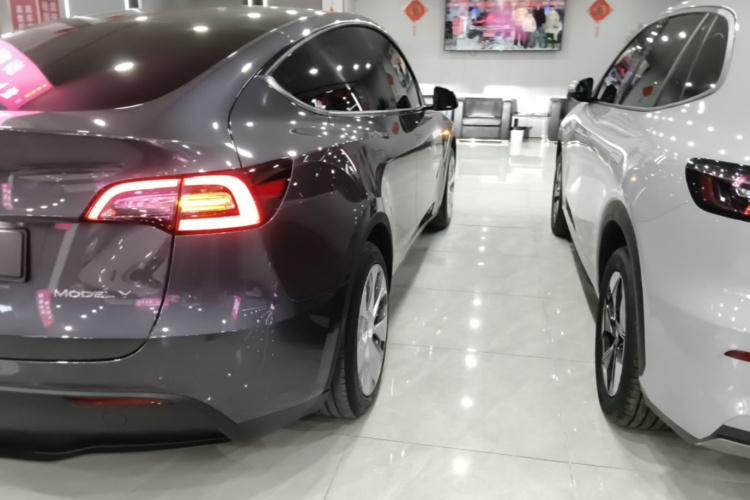 Tesla Model Y 2023 #8 Tesla Model Y 2023 car image #8