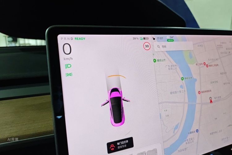 Tesla Model 3 2020 car image #13
