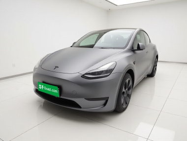Tesla Model Y 2022 car image 