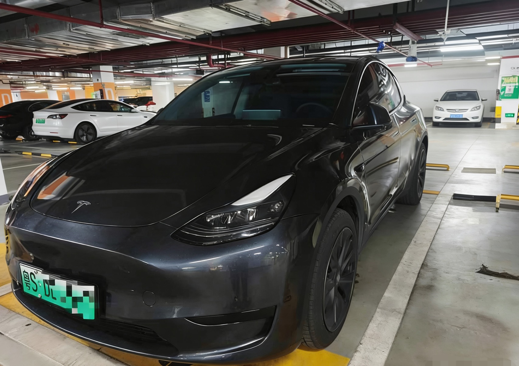 Tesla Model Y 2024 汽车图片 