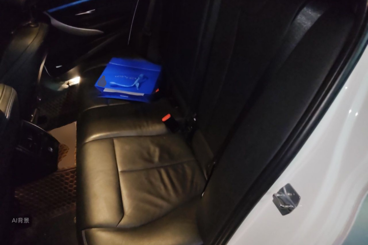 BMW 3 Series 2018 car image #19
