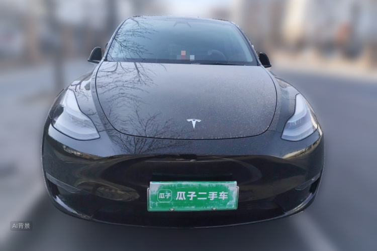 Tesla Model Y 2021 #3 Tesla Model Y 2021 car image #3