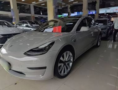 Tesla Model 3 2020 Tesla Model 3 2020 car image