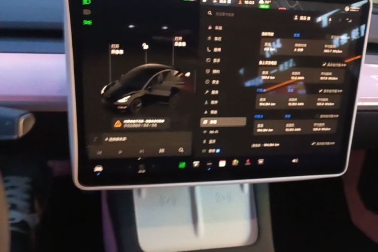 Tesla Model 3 2022 car image #13