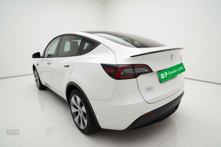 Tesla Model Y 2021 car image #5