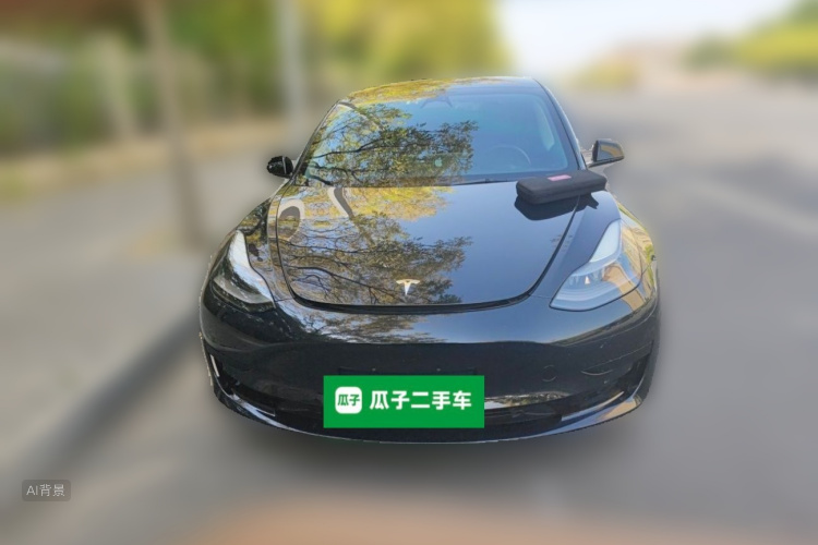 Tesla Model 3 2022 #3 Tesla Model 3 2022 car image #3