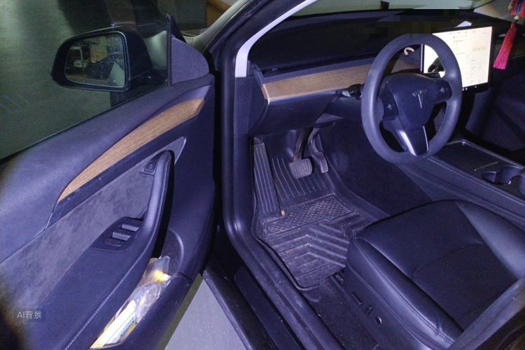 Tesla Model Y 2021 car image #18