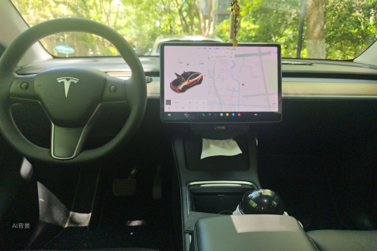 Tesla Model Y 2021 car image #11