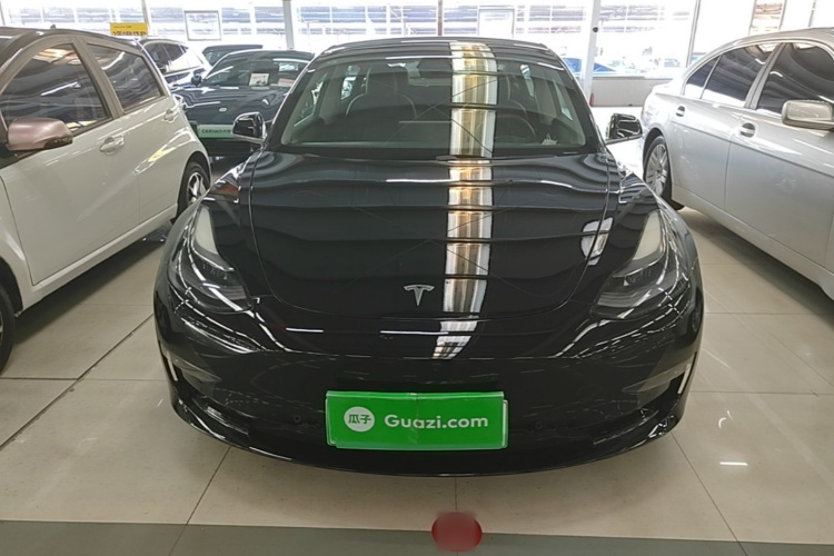 Tesla Model 3 2020 imagem de carro #3