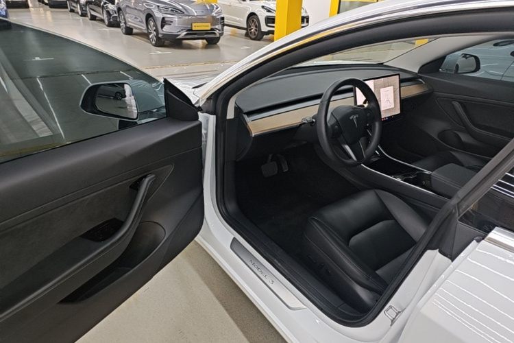 Tesla Model 3 2020 car image #16