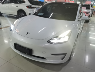 Tesla Model 3 2023 Tesla Model 3 2023 car image