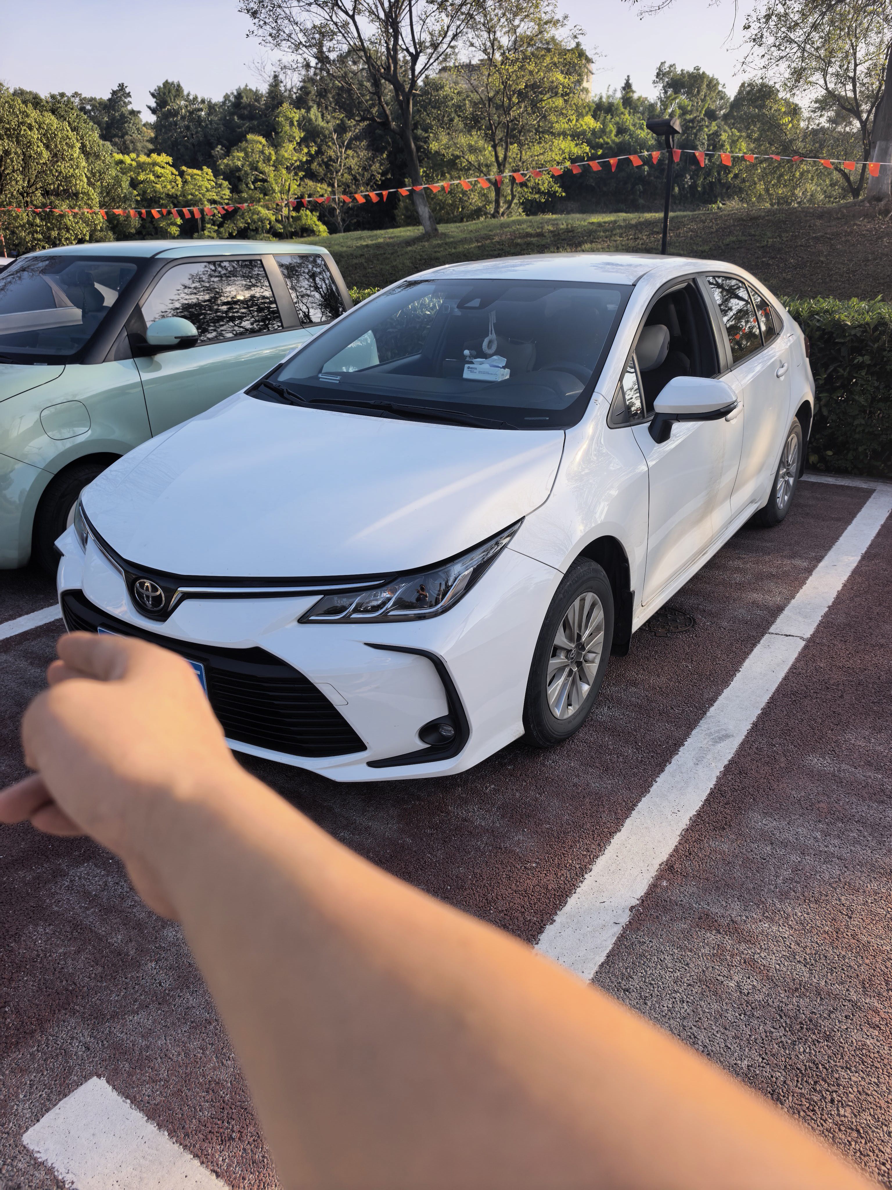 Toyota Corolla 2022 Toyota Corolla 2022 car image