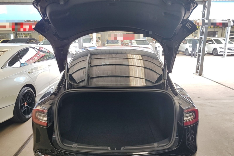Tesla Model 3 2020 car image #21
