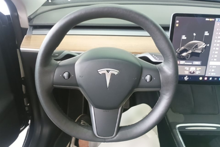 Tesla Model Y 2021 car image #15