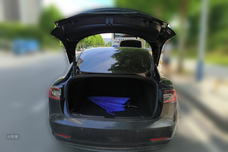 Tesla Model 3 2021 car image #21
