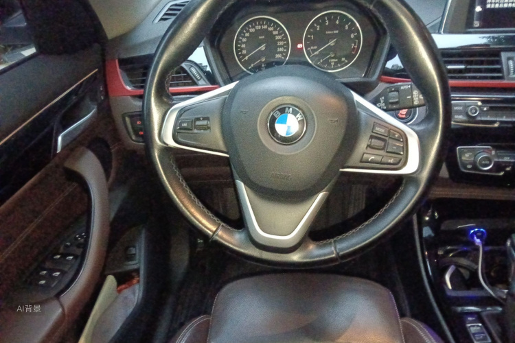 BMW X1 2016 car image #12