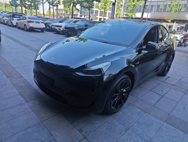 Tesla Model Y 2022 car image 