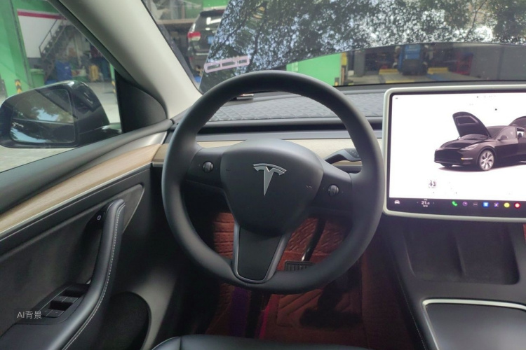 Tesla Model Y 2022 car image #12