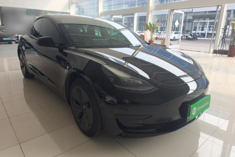 Tesla Model 3 2021 car image #4