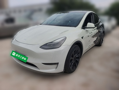 Tesla Model Y 2021 Tesla Model Y 2021 car image