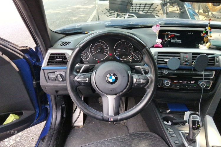 BMW 3 Series 2016 car image #12