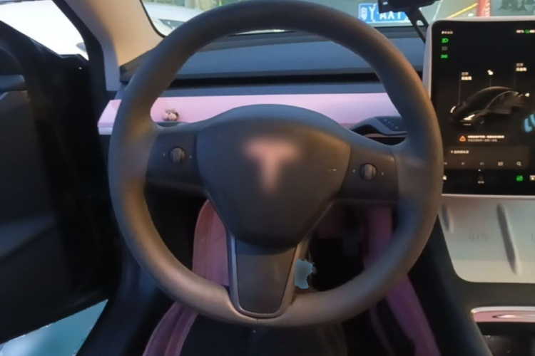 Tesla Model 3 2022 car image #11