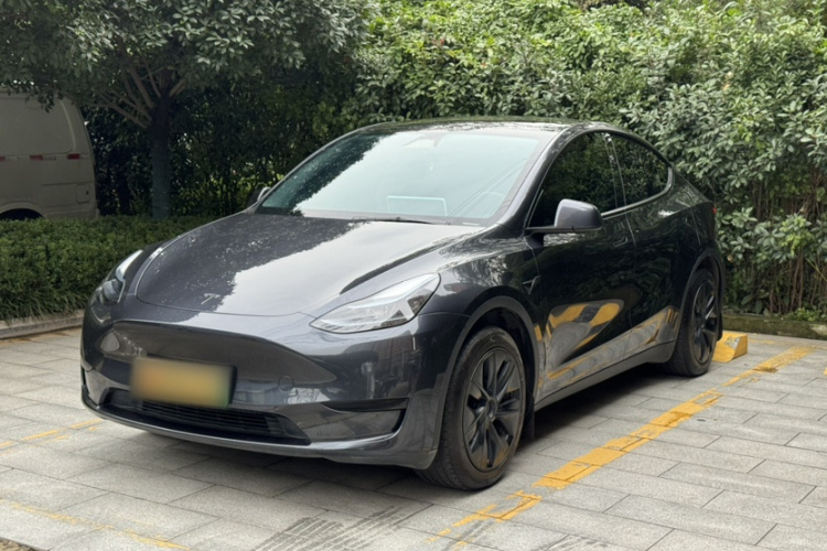 Tesla Model Y 2024 #2 Tesla Model Y 2024 صورة سيارة #2