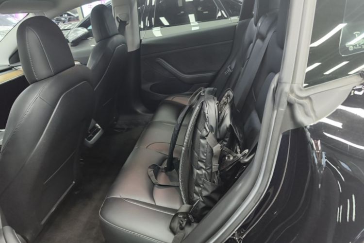 Tesla Model 3 2022 immagine di auto #13