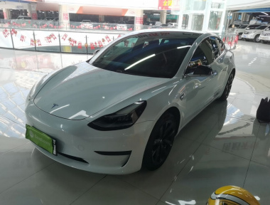 Tesla Model 3 2020 car image 