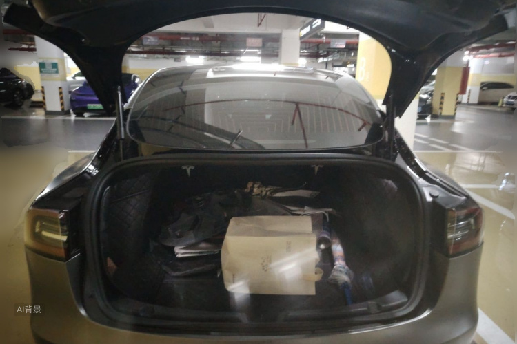 Tesla Model 3 2020 #21 Tesla Model 3 2020 car image #21