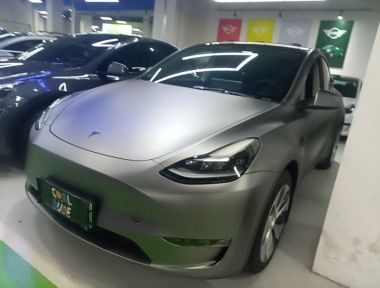 Tesla Model Y 2021 car image 