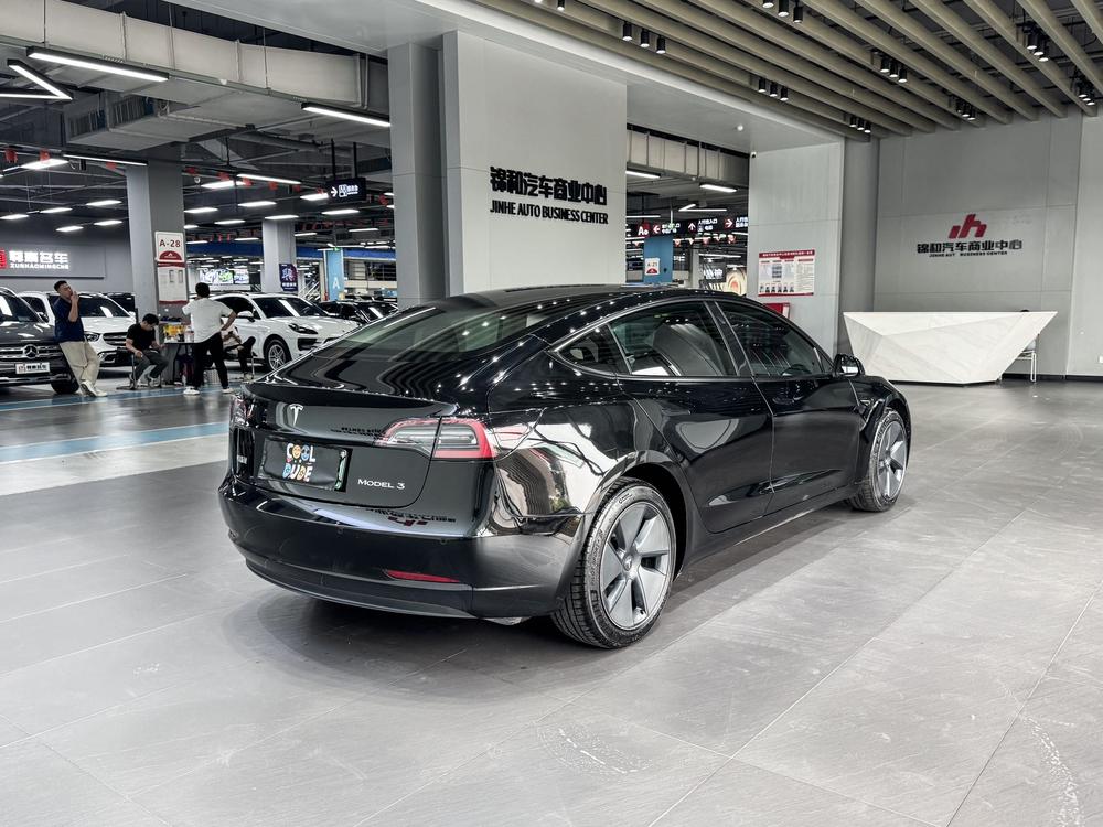 Tesla Model 3 2021 car image #6
