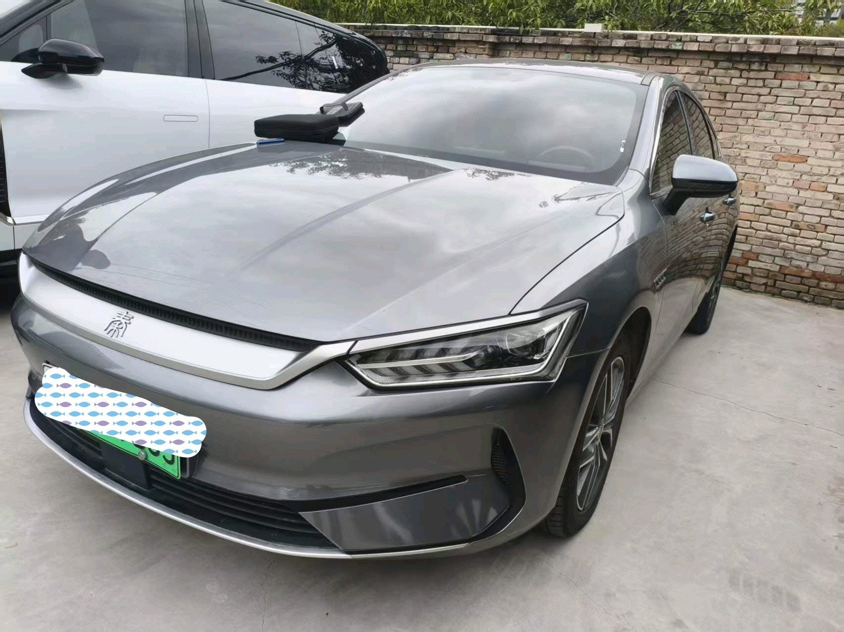 BYD Qin Plus 2023 BYD Qin Plus 2023 car image
