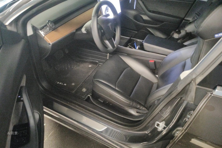 Tesla Model 3 2020 car image #12