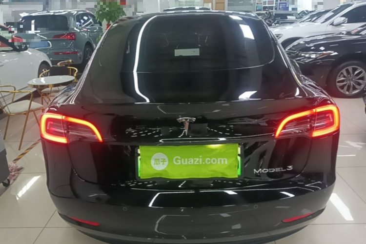 Tesla Model 3 2022 #6 Tesla Model 3 2022 car image #6