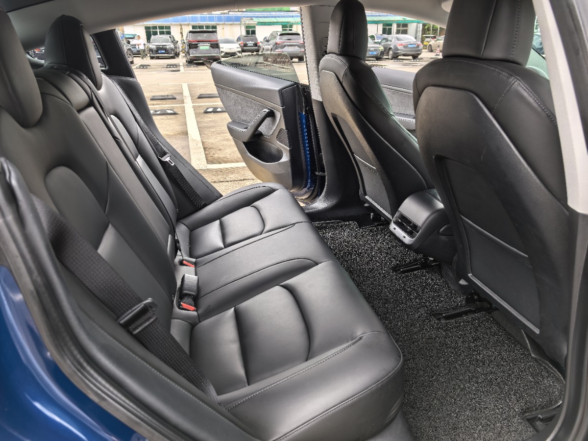 Tesla Model 3 2020 car image #8