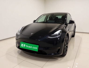 Tesla Model Y 2023 Tesla Model Y 2023 car image
