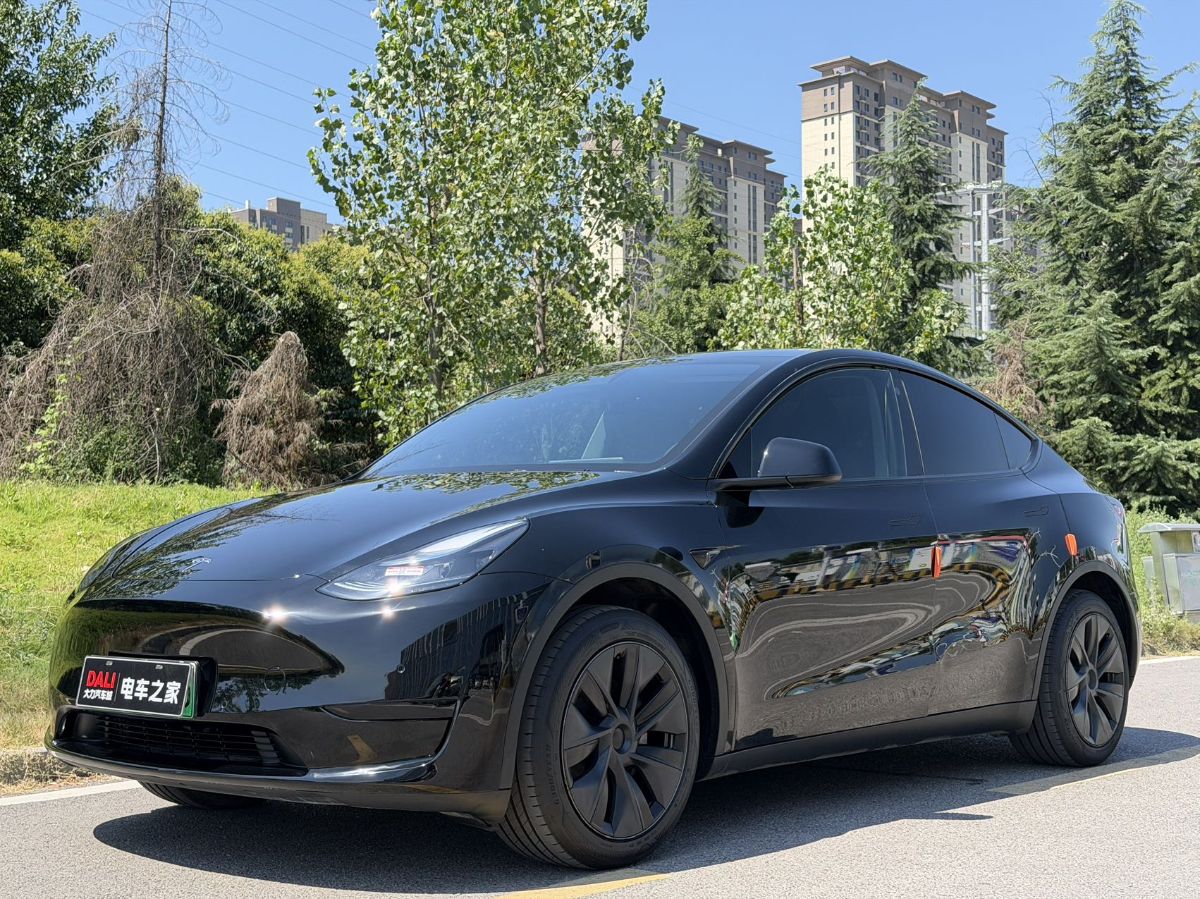 Tesla Model Y 2023 car image 