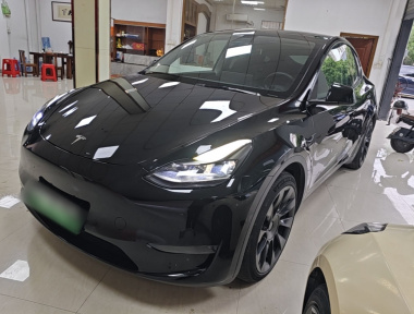 Tesla Model Y 2021 car image 